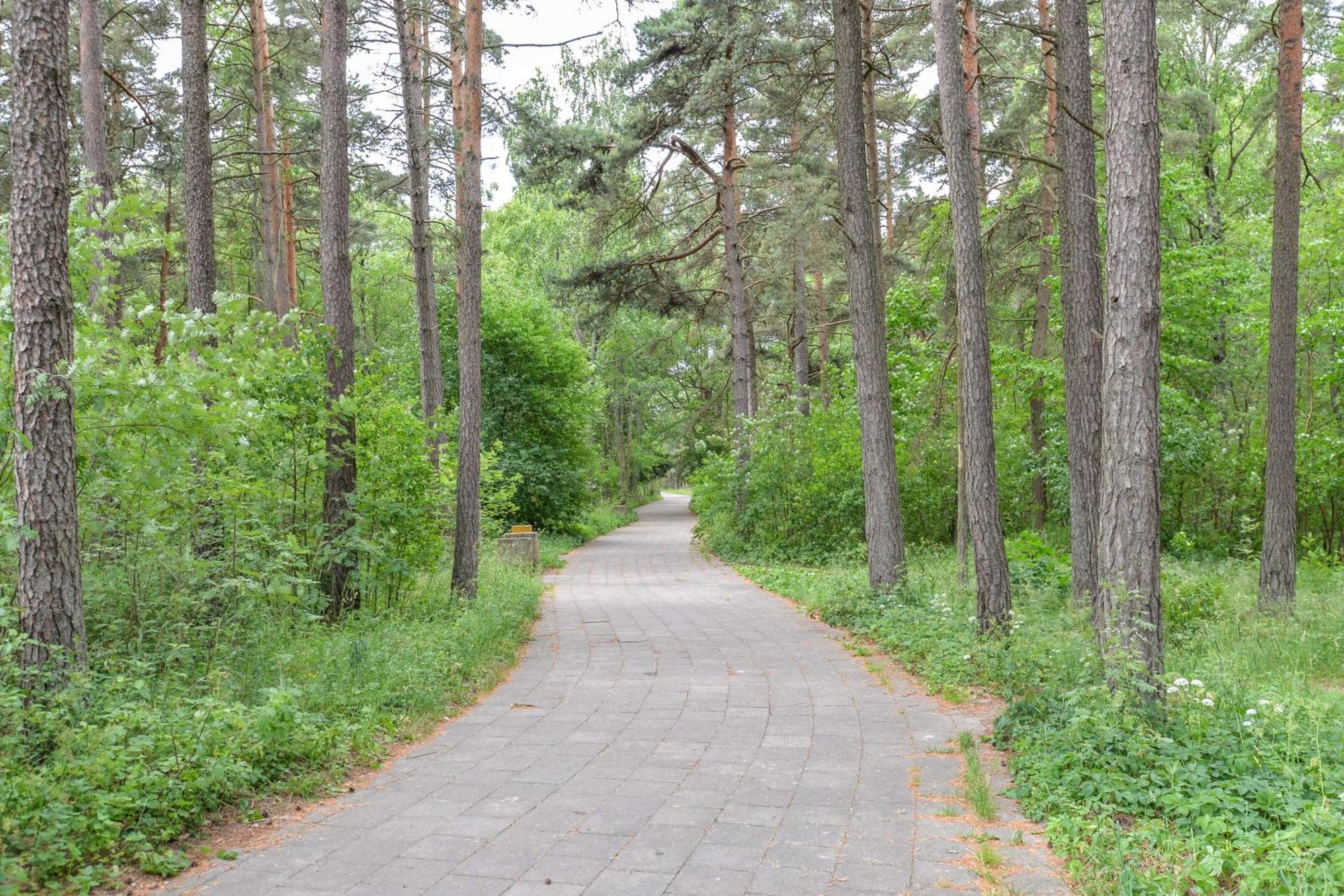 Studija Vanagupes 13 Palanga Buitenkant foto